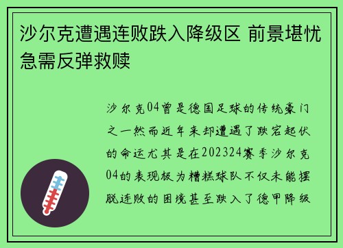 沙尔克遭遇连败跌入降级区 前景堪忧急需反弹救赎